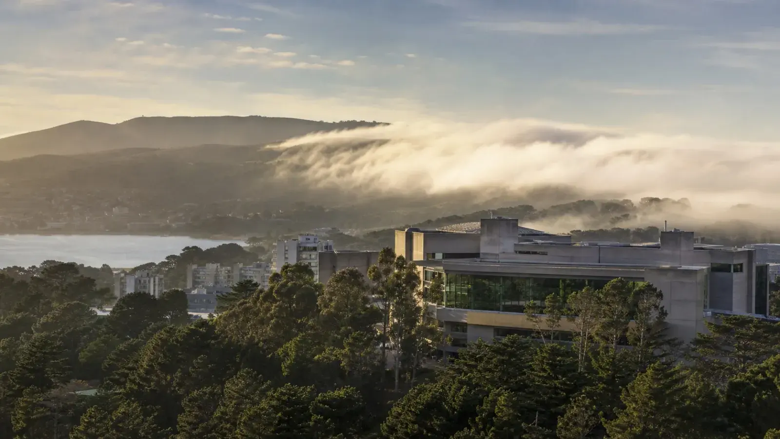 San Francisco State University campus